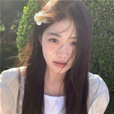 乌衣夜行